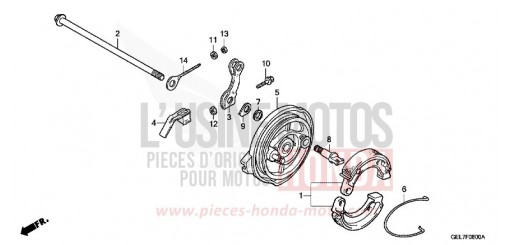 PANNEAU DE FREIN ARRIERE CRF50FC de 2012